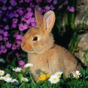 สมาชิกหมายเลข 1978602