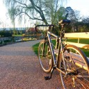 ขนนกโบยบิน