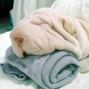 สมาชิกหมายเลข 2111061