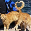 กำปอกำปอ