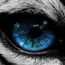 สมาชิกหมายเลข 2499896