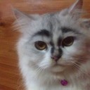 สมาชิกหมายเลข 2500196