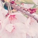 สมาชิกหมายเลข 850247