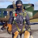 สมาชิกหมายเลข 1259004