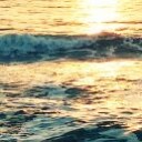 สมาชิกหมายเลข 1261422