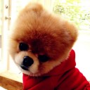 สมาชิกหมายเลข 1262686