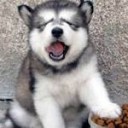 สมาชิกหมายเลข 1262815