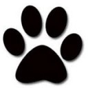 ทาสของแมว