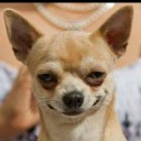 สมาชิกหมายเลข 954240