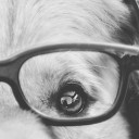 สมาชิกหมายเลข 1527202