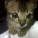 สมาชิกหมายเลข 1276981