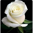 สมาชิกหมายเลข 2111425