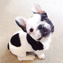 สมาชิกหมายเลข 2251458