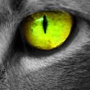 สมาชิกหมายเลข 1076973