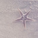 สมาชิกหมายเลข 730270