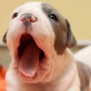 สมาชิกหมายเลข 1740852