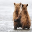 สมาชิกหมายเลข 1082824