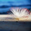 ภาพถ่ายเล่าเรื่อง