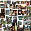 แมวเดินทาง