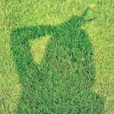 ไข่เจียวไชโป๊สีตองอ่อน