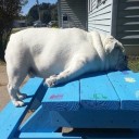 สมาชิกหมายเลข 2112339