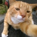 สมาชิกหมายเลข 3342428