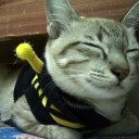 ขอให้ทุกๆวันของเธอมีความสุข