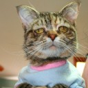 สมาชิกหมายเลข 1690261