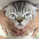 สมาชิกหมายเลข 1182583