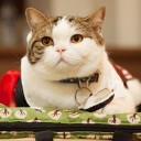 สมาชิกหมายเลข 1006909