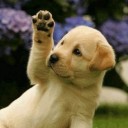 สมาชิกหมายเลข 2529406