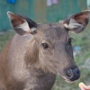 สมาชิกหมายเลข 2903359