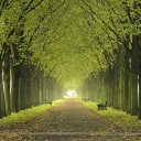 เกษตรอินทรีย์