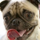 สเรียมม๋องเต้