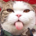 สมาชิกหมายเลข 1881794