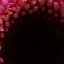 สมาชิกหมายเลข 3323924