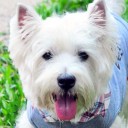 mercury_nuo