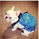 เม่ารักเรียน