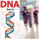 สมาชิกหมายเลข 866033