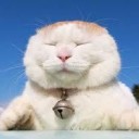 สมาชิกหมายเลข 1691081