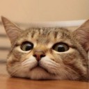 ไข่ต๊อกอุ่นๆ