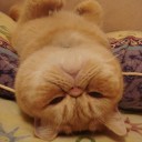 สมาชิกหมายเลข 852333