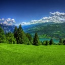 สมาชิกหมายเลข 2503070