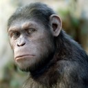 evilape