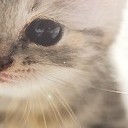 สมาชิกหมายเลข 849695