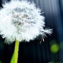 สมาชิกหมายเลข 864940