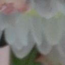 สมาชิกหมายเลข 1665081