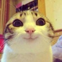 สมาชิกหมายเลข 2503597