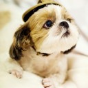 สมาชิกหมายเลข 866562