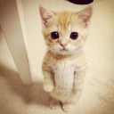 สมาชิกหมายเลข 1198657